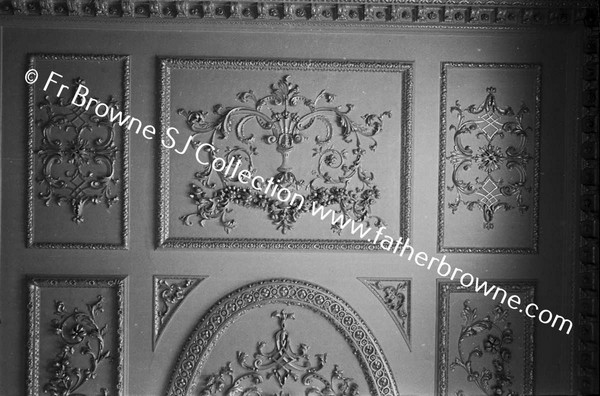 ARAS AN UACHTARAIN DETAIL OF DRAWING ROOM CEILING